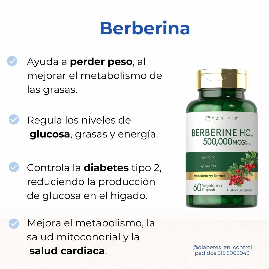 Berberina 250 mg. 60 cápsulas. Carlyle - Imagen 3