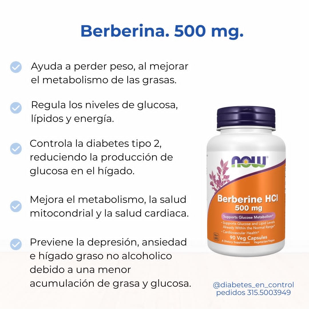 Berberina 500 mg. 90 cápsulas. Now - Imagen 3